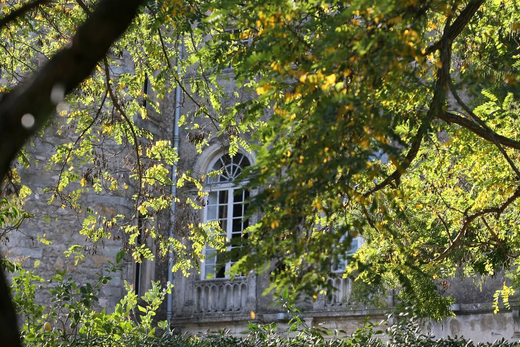 Chateau D'Agel Chambres D'Hotes ภายนอก รูปภาพ