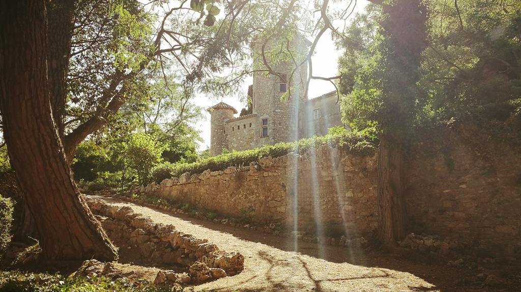 Chateau D'Agel Chambres D'Hotes ภายนอก รูปภาพ